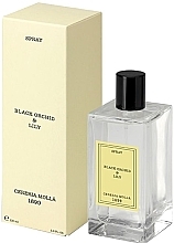 Fragrances, Perfumes, Cosmetics Cereria Molla Black Orchid & Lily - Room Spray