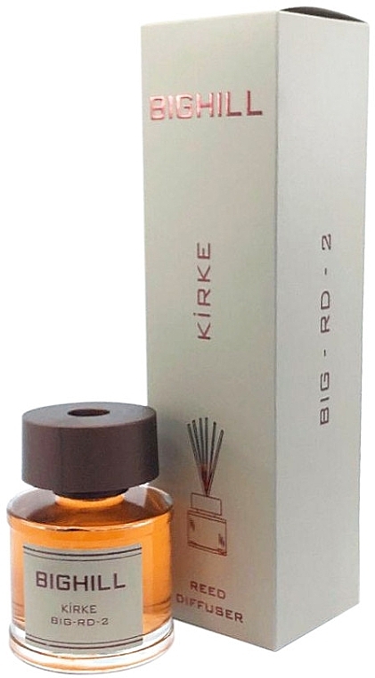 Church Reed Diffuser - Eyfel Perfume Reed Diffuser Kirke — photo N3