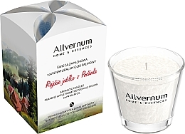 Fragrances, Perfumes, Cosmetics Scented Candle "Paradise Apple from Podhale Region with Cinnamon" - Allverne Home&Essences Candle