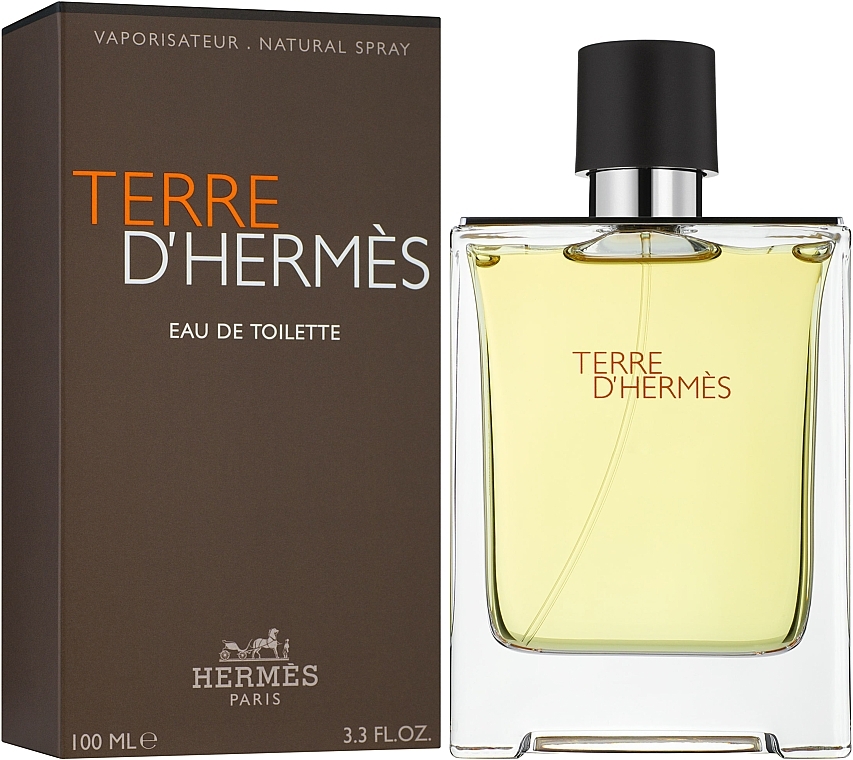 Hermes Terre dHermes - Eau de Toilette — photo N2