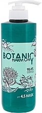 Hair Mask - Stapiz Botanic Harmony pH 4.5 Mask — photo N1