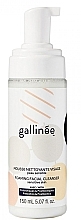 Fragrances, Perfumes, Cosmetics Prebiotic Face Cleansing Foam - Gallinee Foaming Facial Cleanser