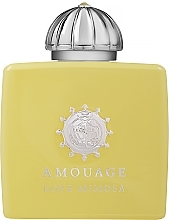 Amouage Love Mimosa - Eau de Parfum — photo N3