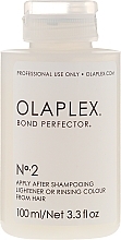 Coloring Protection Hair Travel Set - Olaplex Traveling Stylist Kit — photo N12