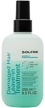 Fragrances, Perfumes, Cosmetics Leave-In 2-Phase Spray - Solfine Damaged Hair Leave-In Treatment