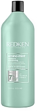 Fragrances, Perfumes, Cosmetics Shampoo - Redken Amino Mint Scalp Shampoo