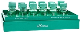 Intensive Repairing Complex with Provitamin B5 - Kaaral Purify Restructure — photo N6