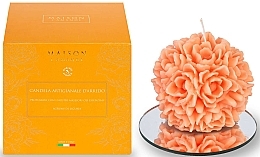 Scented Candle - L'Amande Regionali Agrumi di Liguria Scented Candle — photo N1