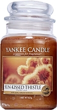 Fragrances, Perfumes, Cosmetics Scented Candle in Jar - Yankee Candle Sun Kissed Thistle