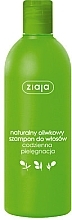 Fragrances, Perfumes, Cosmetics Repairing Shampoo "Natural Olive" - Ziaja Restores Shampoo 