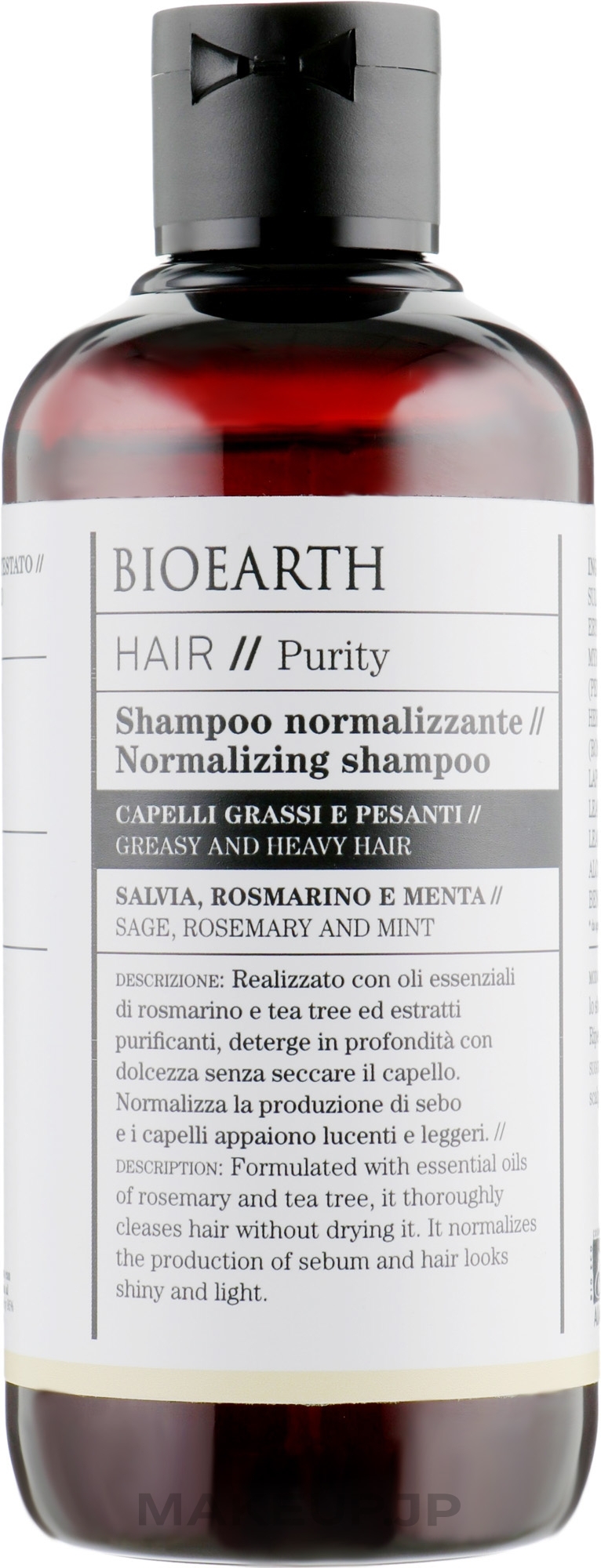 Shampoo for Oily Hair - Bioearth Hair Normalising Shampoo — photo 250 ml