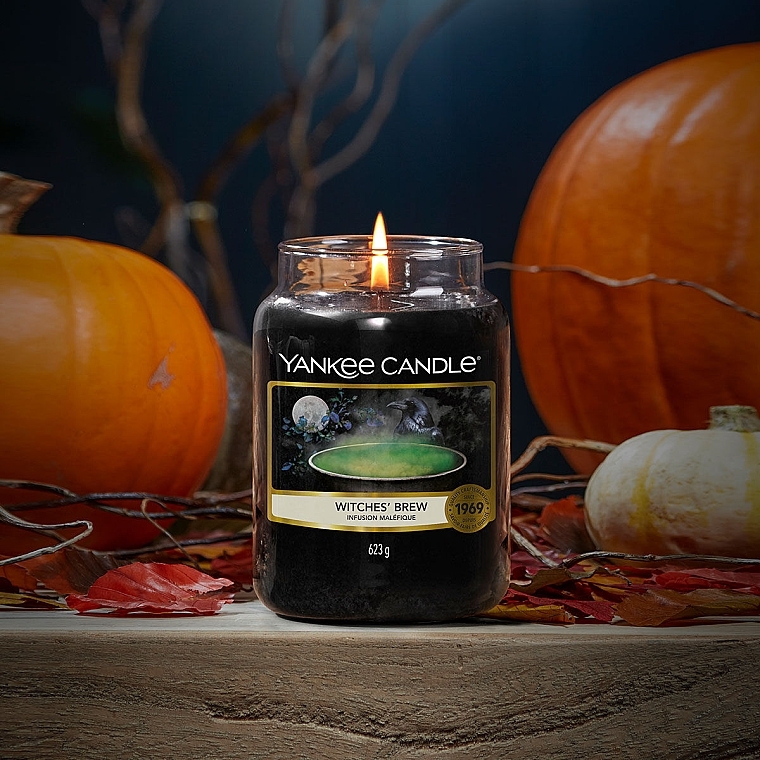 Scented Jar Candle - Yankee Candle Witches Brew Jar Candle — photo N2