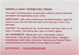 Anti-Aging Fermented Cream - The Skin House Wrinkle Away Fermented Cream — photo N2