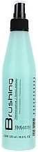 Hair Styling, Thermo-Protective Lotion - Salerm Brushing — photo N1