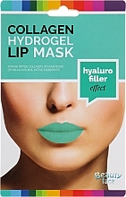 Collagen Hydrogel Lip Mask - Beauty Face Collagen Hydrogel Lip Mask Hyaluro Filler — photo N1