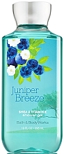 Juniper Shower Gel - Bath and Body Works Juniper Breeze Shower Gel — photo N1