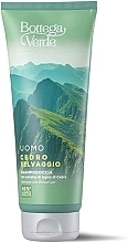 Bottega Verde Cedro Selvaggio - Shampoo-Shower Gel — photo N1