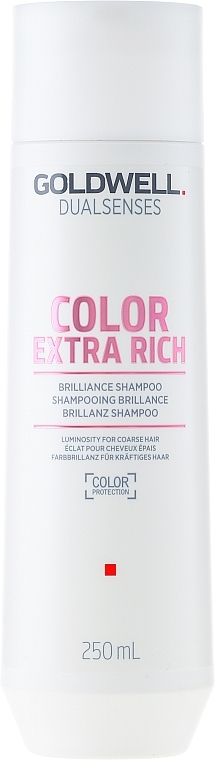 Intensive Shine Shampoo for Colored Hair - Goldwell Dualsenses Color Extra Rich Brilliance Shampoo — photo N1