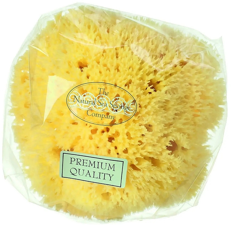 Natural Sea Sponge, 17.8 cm - Hydrea London Honeycomb Sea Sponge Premium Quality — photo N1