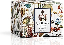 Carthusia A'mmare - Body Cream — photo N2