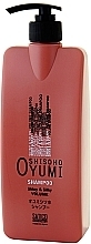 Fragrances, Perfumes, Cosmetics Volume Hair Shampoo - Kanebo Satico Volume Shampoo Oyumi Shisoho