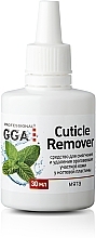 Fragrances, Perfumes, Cosmetics Cuticle Remover 'Mint' - GGA Professional Cuticle Remover