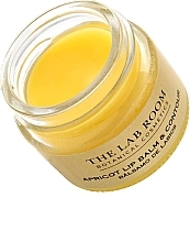 Apricot Lip Balm - The Lab Room Apricot Lip Balm & Contour — photo N3