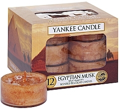 Fragrances, Perfumes, Cosmetics Tea Light Candles - Yankee Candle Scented Tea Light Candles Egyptian Musk