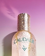 Facial Beauty Elixir - Caudalie Beauty Elixir — photo N4