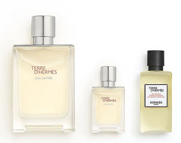 Hermes Terre d'Hermes Eau Givree - Set (edp/100ml+edp/mini/12.5ml+sh/gel/80ml) — photo N2