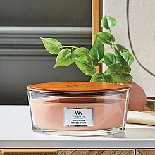 Scented Candle in Glass - Woodwick Ellipse Candle Manuka Nectar — photo N3