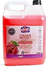 Shampoo for Colored Hair - Ronney Professional Shampoo Color Protect Cherry Fragrance — photo N1