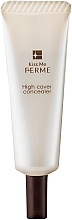 Corrector UV30 - Isehan Ferme High Cover Concealer — photo N1