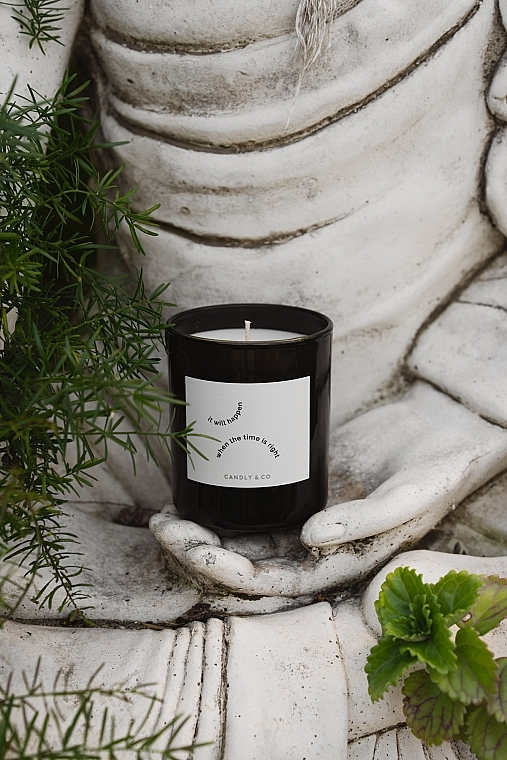 Scented Candle - Candly & Co No.3 Candle It Will Happen When The Time Is Right — photo N3