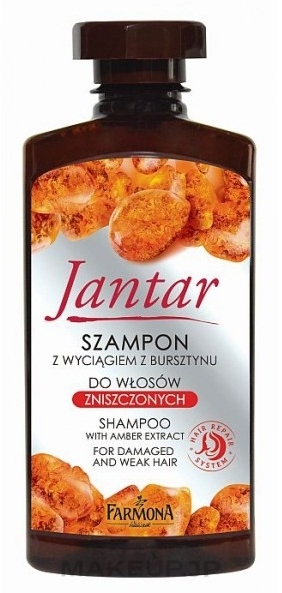 Amber Extract Protecting & Moisturizing Shampoo - Farmona Jantar Shampoo — photo 330 ml