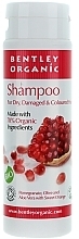 Fragrances, Perfumes, Cosmetics Dry and Damaged Hair Shampoo - Bentley Organic Shampoo For Dry & Damaged Hair