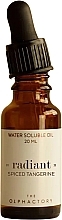 Water-Soluble Oil - Ambientair The Olphactory Radiant Spiced Tangerine Water Soluble Oil — photo N1