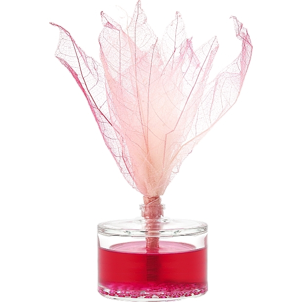 Cactus Blossom Fragrance Diffuser - Bispol Aura — photo N2