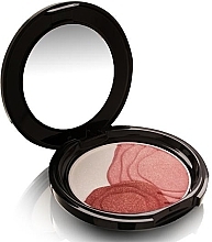 Fragrances, Perfumes, Cosmetics Face Blush - Shiseido Camellia Compact Limited Edition