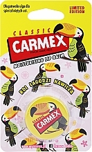 Fragrances, Perfumes, Cosmetics Medicated Lip Balm in Jar - Carmex Classic Lip Balm Medicated Limited Edition