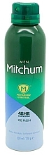 Men Deodorant-Spray - Mitchum Men Ice Fresh 48hr Anti-Perspirant — photo N2