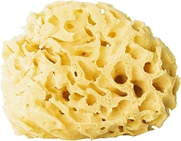 Fragrances, Perfumes, Cosmetics Natural Sponge, yellow, 12,5 cm - Hhuumm 03H Natural Sponge