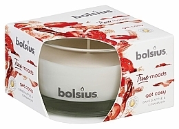 Fragrances, Perfumes, Cosmetics Apple & Cinnamon Scented Candle in Glass, 50/80 mm - Bolsius True Moods Candle