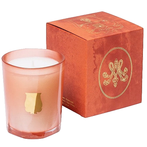 Scented Candle 'Tuileries' - Cire Trudon — photo N2