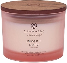 Fragrances, Perfumes, Cosmetics Scented Candle 'Stillness & Purity', 3 wicks - Chesapeake Bay Candle