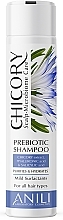 Fragrances, Perfumes, Cosmetics Chicory Prebiotic Hair Shampoo - Anili Chicory Prebiotic Shampoo