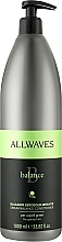 Oily Hair Conditioner - Allwavs Balance Sebum Balancing Conditioner — photo N2