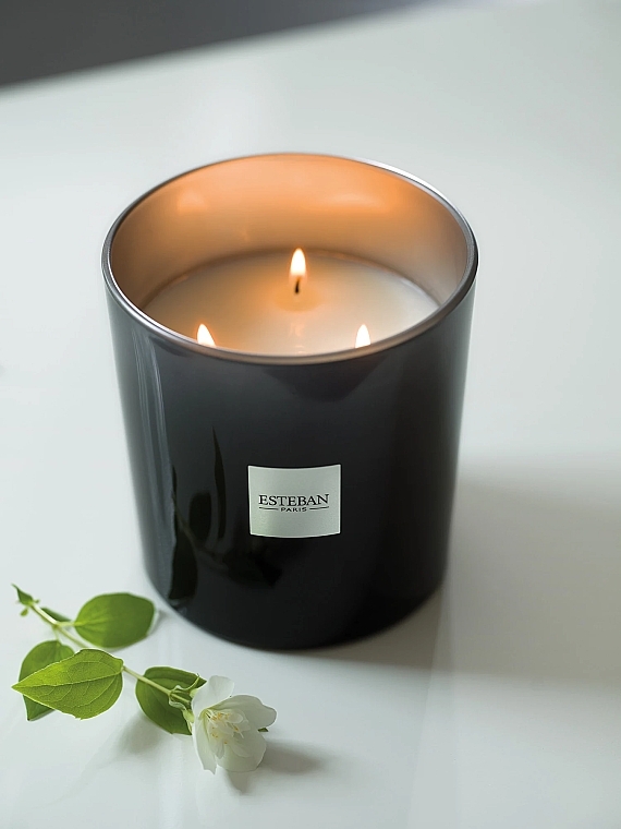 Esteban Figue Noire Refillable Scented Candle - アロマキャンドル — photo N4