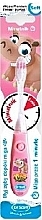 Fragrances, Perfumes, Cosmetics Children's Flashing Toothbrush with Timer, pink - Dr. Scott