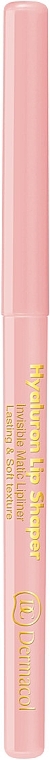 Transparent Lip Contour Pencil - Dermacol Hyaluron Lip Shaper — photo N1